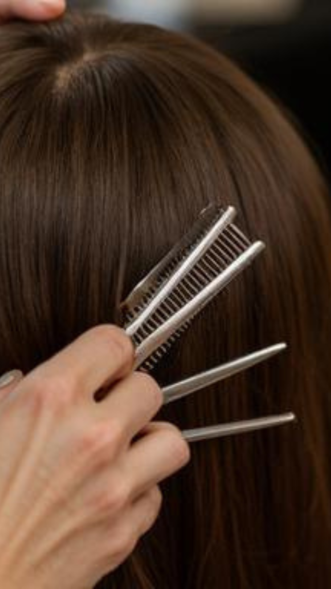 Hairdresser Pro 2005
