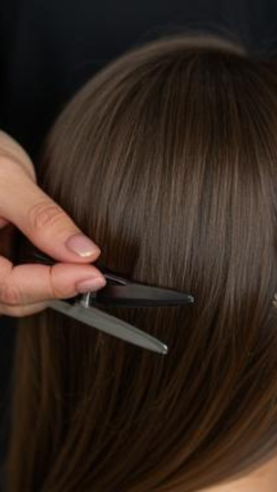 Hairdresser Pro 2008