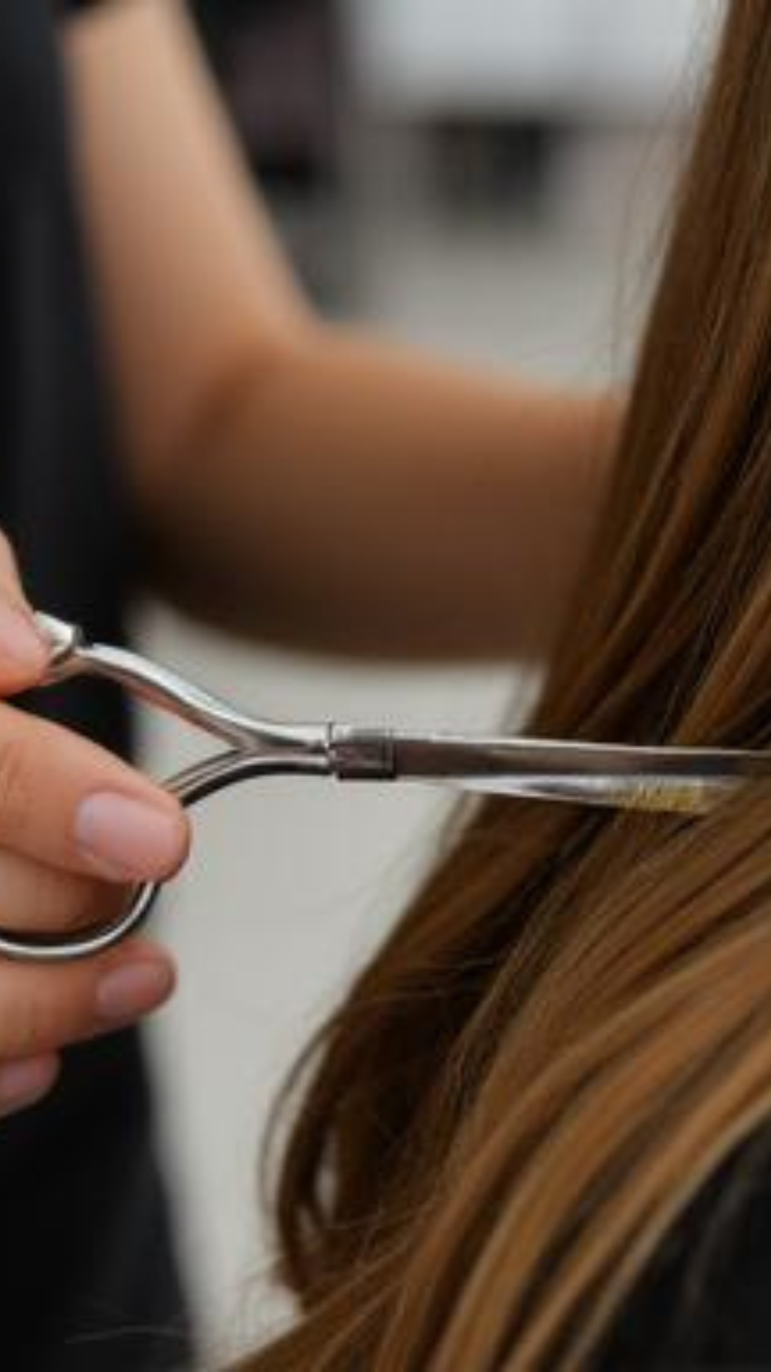 Hairdresser Pro 2010