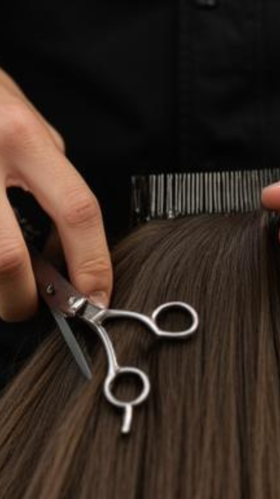 Hairdresser Pro 2011