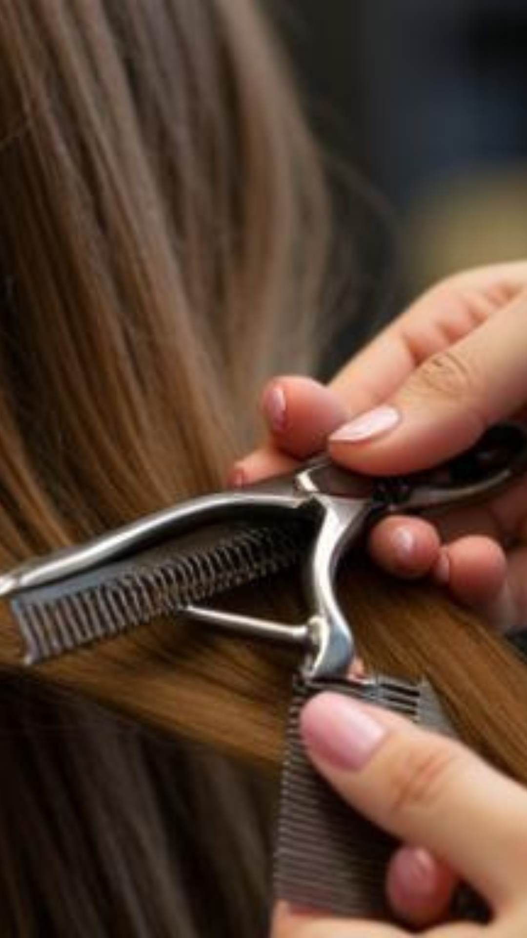 Hairdresser Pro 2012
